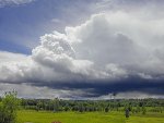 cumulonimbus_052301_sjr.jpg