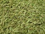 C20079213437906613_Fennel_Seed.jpg