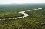 River_gambia_Niokolokoba_National_Park.jpg