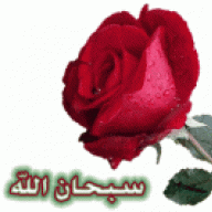 دلع قحطان